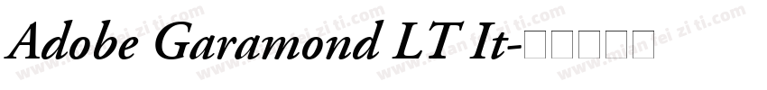 Adobe Garamond LT It字体转换